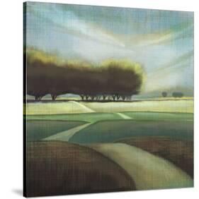 Looking Back II-Tandi Venter-Stretched Canvas