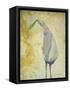 Looking Back Peace Bird-Tim Nyberg-Framed Stretched Canvas