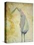 Looking Back Peace Bird-Tim Nyberg-Stretched Canvas