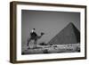 Looking Back-Dan Ballard-Framed Photographic Print