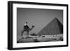 Looking Back-Dan Ballard-Framed Photographic Print