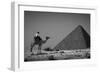 Looking Back-Dan Ballard-Framed Photographic Print