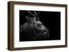 Looking Back-Eiji Itoyama-Framed Photographic Print