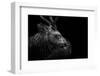 Looking Back-Eiji Itoyama-Framed Photographic Print