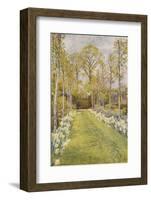 Looking Down a Grass Path with a Bed of Daffodils and Trees on Either Side-Beatrice Parsons-Framed Photographic Print