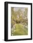 Looking Down a Grass Path with a Bed of Daffodils and Trees on Either Side-Beatrice Parsons-Framed Photographic Print