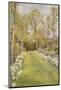 Looking Down a Grass Path with a Bed of Daffodils and Trees on Either Side-Beatrice Parsons-Mounted Photographic Print