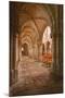 Looking Down an Aisle in the Church of Notre Dame, Saint Pere, Yonne, Burgundy, France, Europe-Julian Elliott-Mounted Photographic Print