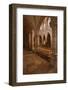 Looking Down an Aisle in the Church of Notre Dame, Saint Pere, Yonne, Burgundy, France, Europe-Julian Elliott-Framed Photographic Print