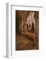 Looking Down an Aisle in the Church of Notre Dame, Saint Pere, Yonne, Burgundy, France, Europe-Julian Elliott-Framed Photographic Print