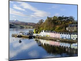 Looking Down at the Harbour of Portree, Isle of Skye, Inner Hebrides, Scotland-Chris Hepburn-Mounted Photographic Print