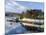 Looking Down at the Harbour of Portree, Isle of Skye, Inner Hebrides, Scotland-Chris Hepburn-Mounted Photographic Print