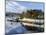 Looking Down at the Harbour of Portree, Isle of Skye, Inner Hebrides, Scotland-Chris Hepburn-Mounted Photographic Print