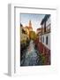 Looking down canal to Castle Tower in Cesky Krumlov, Czech Republic-Chuck Haney-Framed Photographic Print