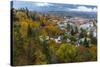 Looking Down into Autumn in Downtown Nelson, British, Columbia, Canada-Chuck Haney-Stretched Canvas