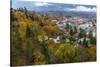 Looking Down into Autumn in Downtown Nelson, British, Columbia, Canada-Chuck Haney-Stretched Canvas
