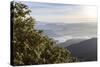 Looking Down into the Dalhousie and the Hill Country Beyond at Sunrise from Adam's Peak (Sri Pada)-Charlie Harding-Stretched Canvas