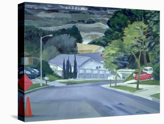 Looking Down My Street, 2000-Howard Ganz-Stretched Canvas