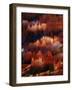 Looking Down On Bryce Canyon National Park-Ron Koeberer-Framed Photographic Print