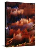 Looking Down On Bryce Canyon National Park-Ron Koeberer-Stretched Canvas