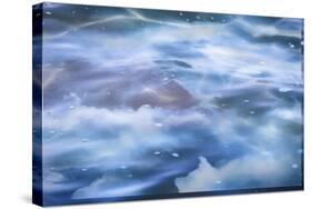 Looking Down On Clouds-Anthony Paladino-Stretched Canvas