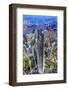 Looking Down on the Liujiashui Financial District, Shanghai, China.-William Perry-Framed Photographic Print