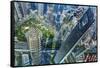 Looking Down on the Liujiashui Financial District, Shanghai, China.-William Perry-Framed Stretched Canvas