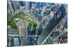 Looking Down on the Liujiashui Financial District, Shanghai, China.-William Perry-Stretched Canvas