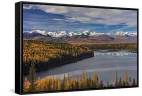 Looking down onto Holland Lake and the Mission Mountains in autumn in the Flathead National Forest,-Chuck Haney-Framed Stretched Canvas