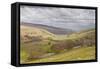 Looking Down onto Littondale in the Yorkshire Dales National Park-Julian Elliott-Framed Stretched Canvas