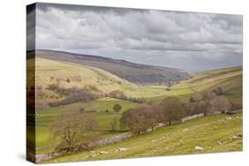 Looking Down onto Littondale in the Yorkshire Dales National Park-Julian Elliott-Stretched Canvas