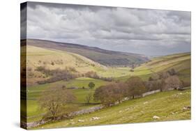 Looking Down onto Littondale in the Yorkshire Dales National Park-Julian Elliott-Stretched Canvas