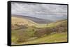Looking Down onto Littondale in the Yorkshire Dales National Park-Julian Elliott-Framed Stretched Canvas