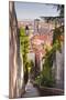 Looking Down onto the Rooftops of Vieux Lyon, Rhone, Rhone-Alpes, France, Europe-Julian Elliott-Mounted Photographic Print