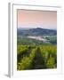 Looking Down Rows of Vines Towards the Village of Sancerre, Cher, Loire Valley, Centre, France, Eur-Julian Elliott-Framed Photographic Print