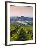 Looking Down Rows of Vines Towards the Village of Sancerre, Cher, Loire Valley, Centre, France, Eur-Julian Elliott-Framed Photographic Print