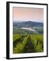 Looking Down Rows of Vines Towards the Village of Sancerre, Cher, Loire Valley, Centre, France, Eur-Julian Elliott-Framed Photographic Print