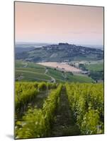 Looking Down Rows of Vines Towards the Village of Sancerre, Cher, Loire Valley, Centre, France, Eur-Julian Elliott-Mounted Photographic Print