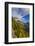 Looking down the McDonald Valley in autumn, Glacier National Park, Montana, USA-Chuck Haney-Framed Photographic Print