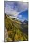 Looking down the McDonald Valley in autumn, Glacier National Park, Montana, USA-Chuck Haney-Mounted Photographic Print