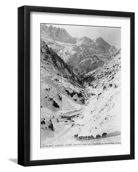 Premium Photographic Print, , large