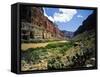 Looking Downriver From Nankoweap Canyon, Grand Canyon National Park, Arizona, USA-Bernard Friel-Framed Stretched Canvas