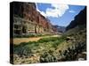Looking Downriver From Nankoweap Canyon, Grand Canyon National Park, Arizona, USA-Bernard Friel-Stretched Canvas