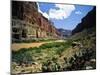 Looking Downriver From Nankoweap Canyon, Grand Canyon National Park, Arizona, USA-Bernard Friel-Mounted Photographic Print