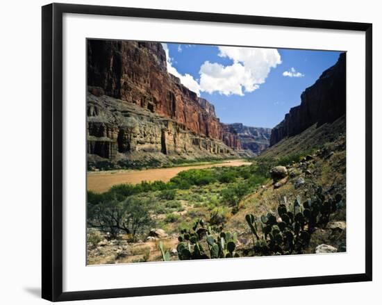 Looking Downriver From Nankoweap Canyon, Grand Canyon National Park, Arizona, USA-Bernard Friel-Framed Photographic Print