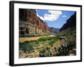 Looking Downriver From Nankoweap Canyon, Grand Canyon National Park, Arizona, USA-Bernard Friel-Framed Photographic Print