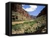 Looking Downriver From Nankoweap Canyon, Grand Canyon National Park, Arizona, USA-Bernard Friel-Framed Stretched Canvas