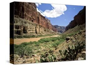 Looking Downriver From Nankoweap Canyon, Grand Canyon National Park, Arizona, USA-Bernard Friel-Stretched Canvas