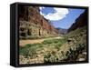 Looking Downriver From Nankoweap Canyon, Grand Canyon National Park, Arizona, USA-Bernard Friel-Framed Stretched Canvas