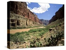 Looking Downriver From Nankoweap Canyon, Grand Canyon National Park, Arizona, USA-Bernard Friel-Stretched Canvas